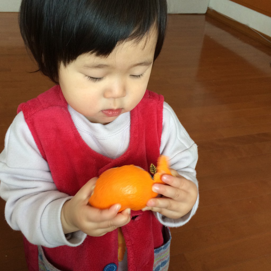 進撃のインフルゴンザレス③激しい夜泣きは誰のせい？