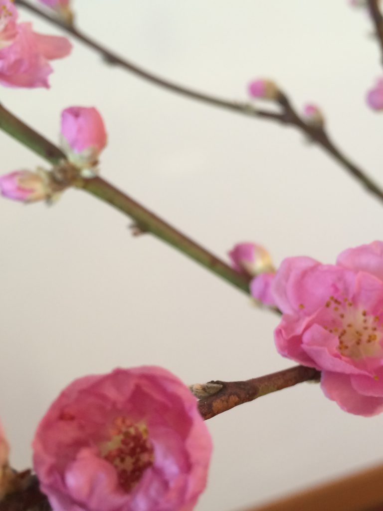 サポートしてくださる神様。と、セラピスト向けのアロマ講座。