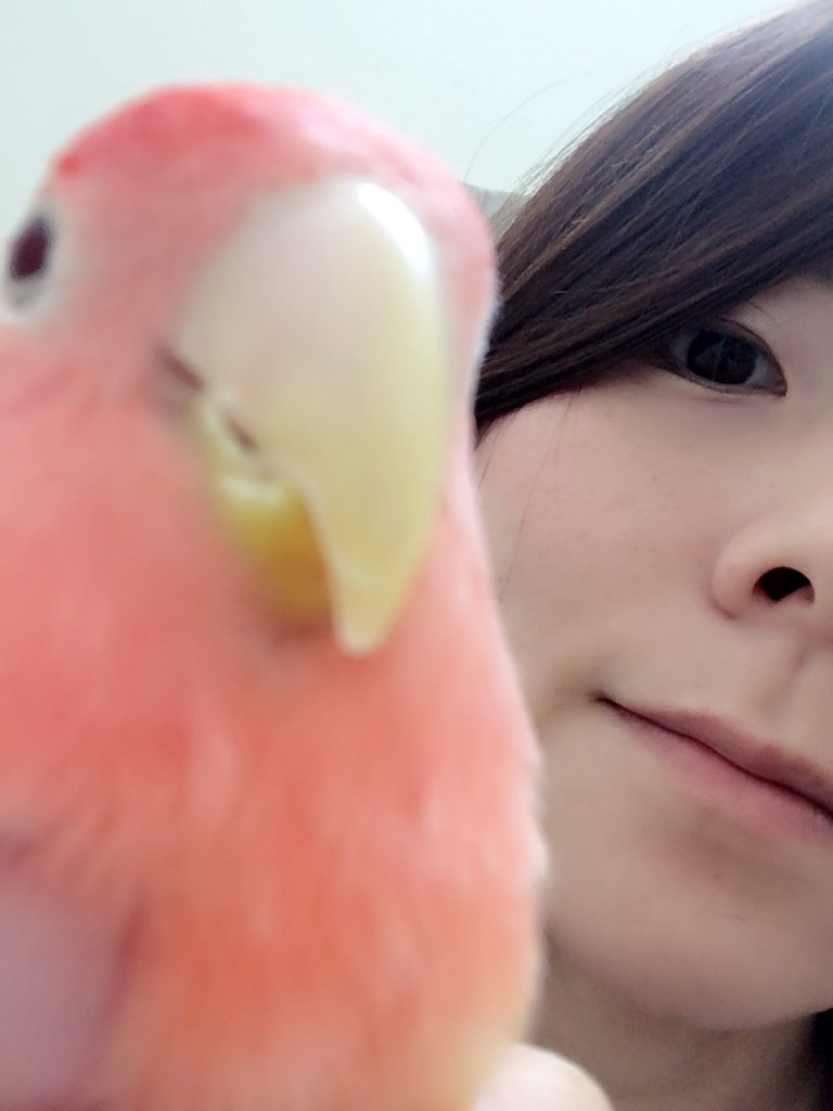 早速マタニティ整体です?逆子ちゃんも、くるっと周りやすく(*^^*)