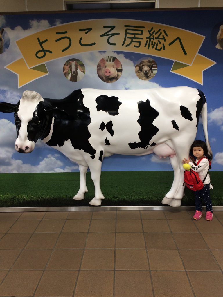 実家にきています＾＾