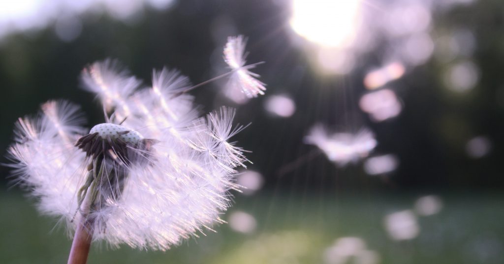 悲しみに飲み込まれないで。自分と相手の境界線を明確に。