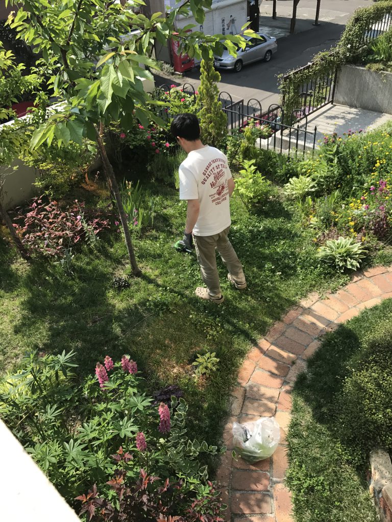 今日の、キヨシ。　主夫（仮）のリアルな気持ち。