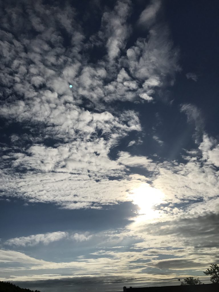 考えるな！感じろ！