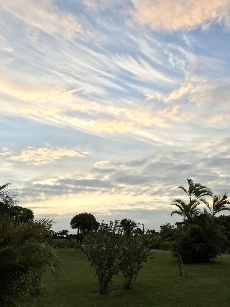 ライトワーカー・ライトウォーリア