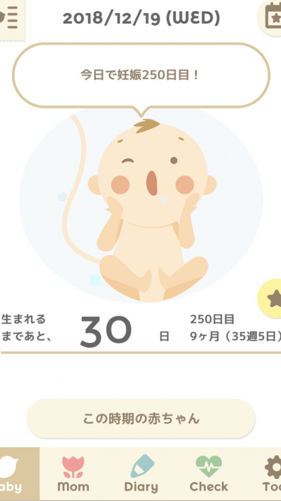 夫への当たり屋・めんどくさい妊婦。と今後の予定！