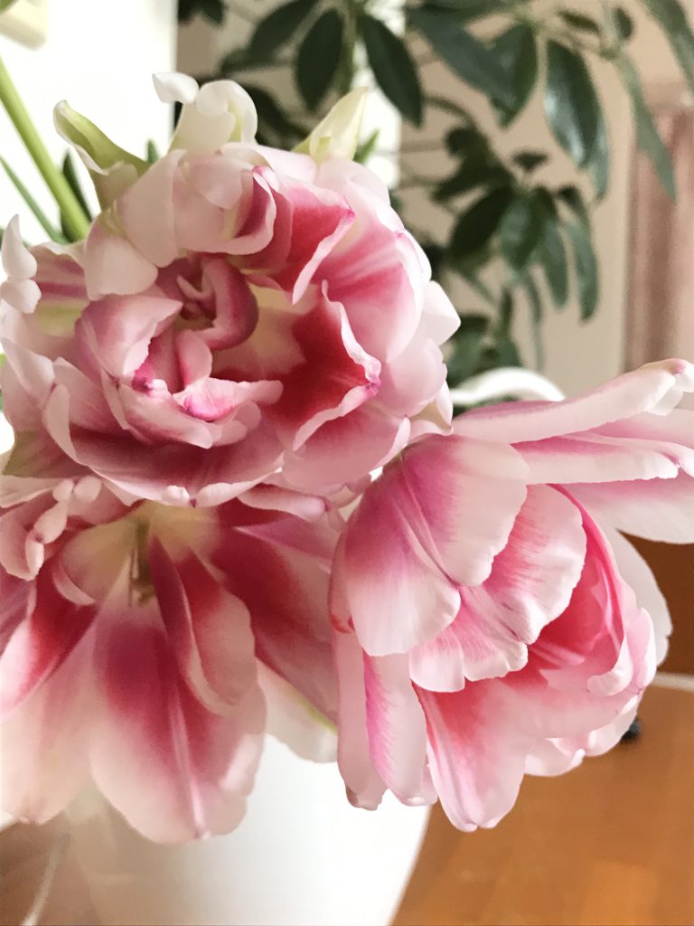 ウェイクアップし放題、お申し込み頂きました〜！！！