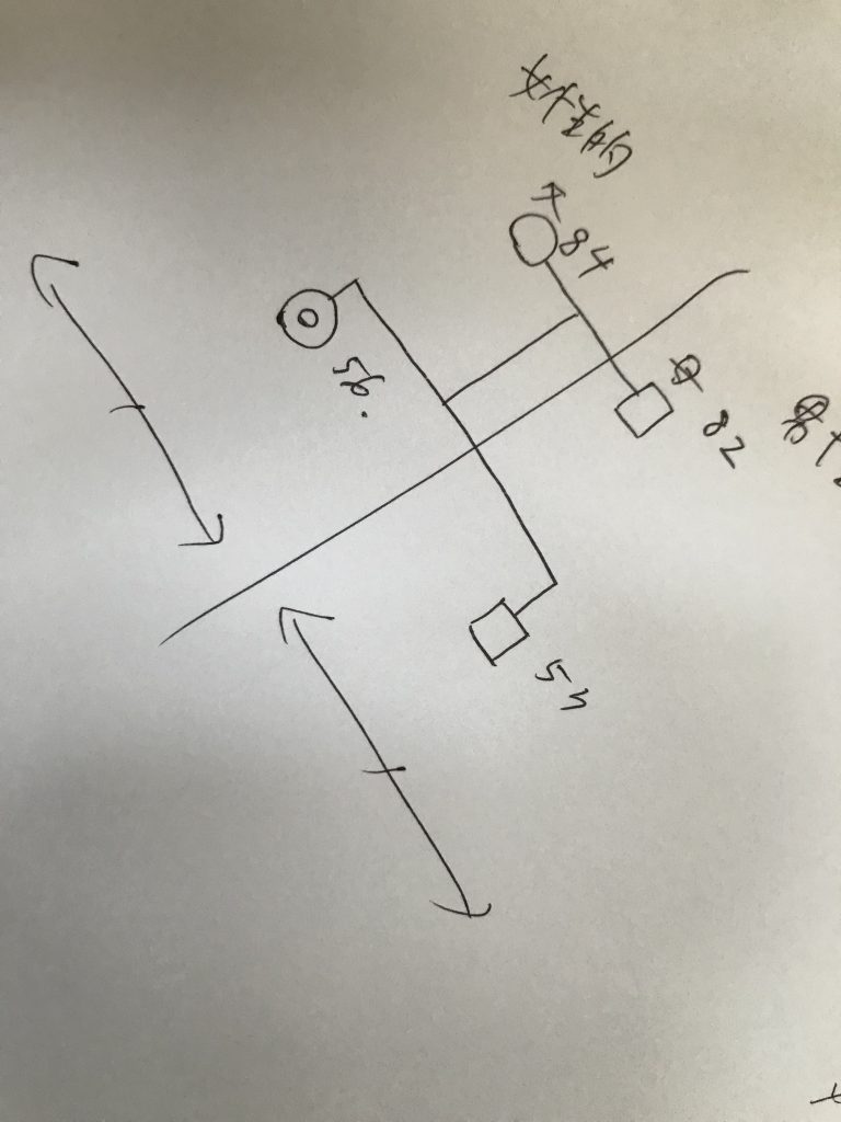 人は３ヶ月で生まれ変わる説！こまめな家系図の見直しを(^o^)