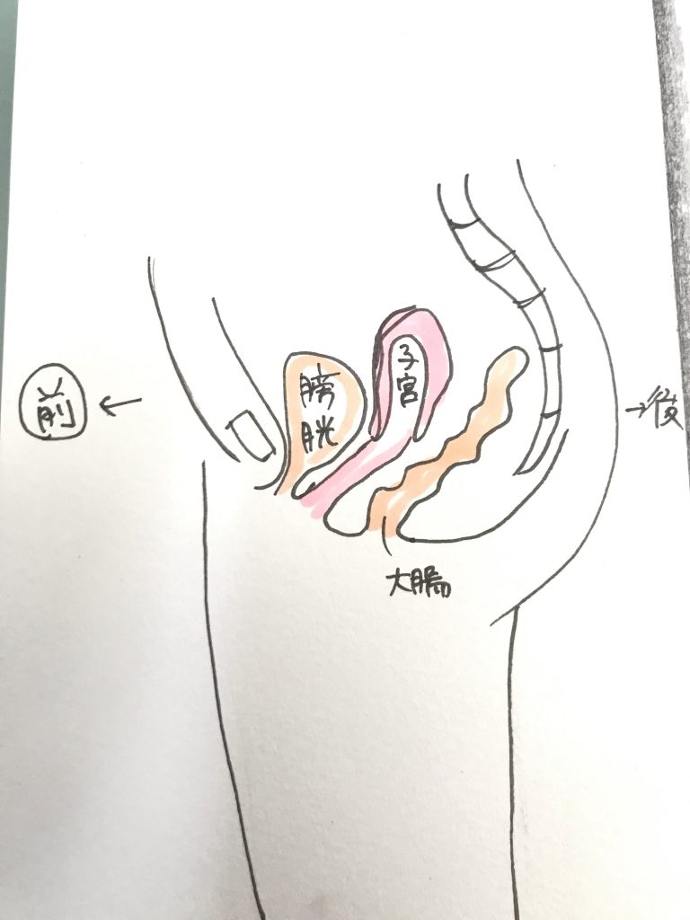 エネルギーで不調も治せるイメージ！子宮脱って知ってますか？？