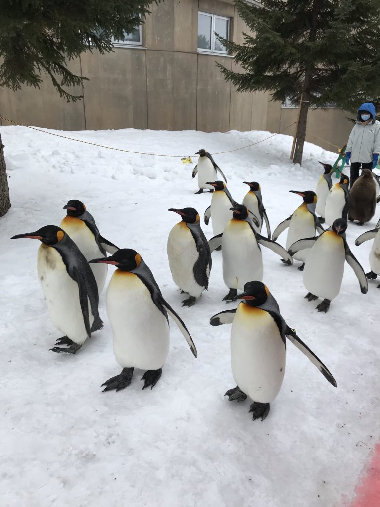 愛ちゃまへドッキリの旅@旭川